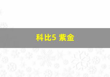 科比5 紫金